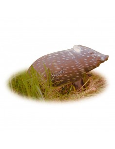 Silueta 3D de jabalina - A.A.