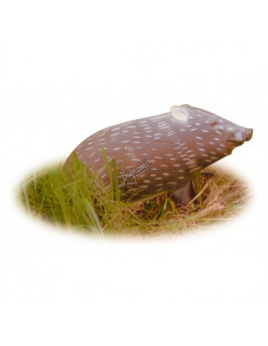 Silueta 3D de jabalina - A.A.