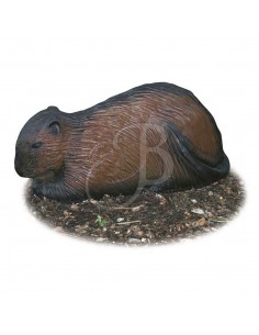 Sagoma 3D Nutria Scura - A.A.