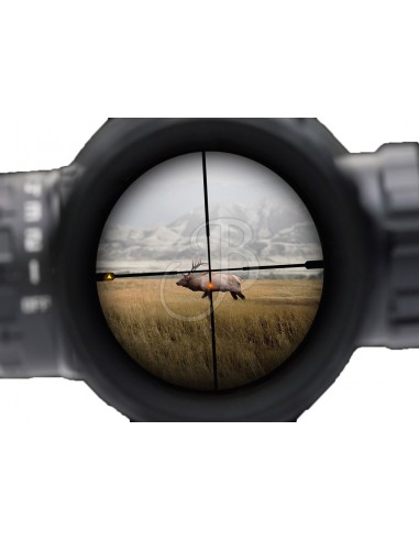 SIERRA 3 BDX 2.5-8X32 DBR 2P-SF-30 -...