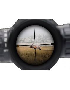 SIERRA 3 BDX 4.5-14X44 DBR... 2