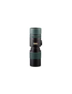 Modelo monocular... 2