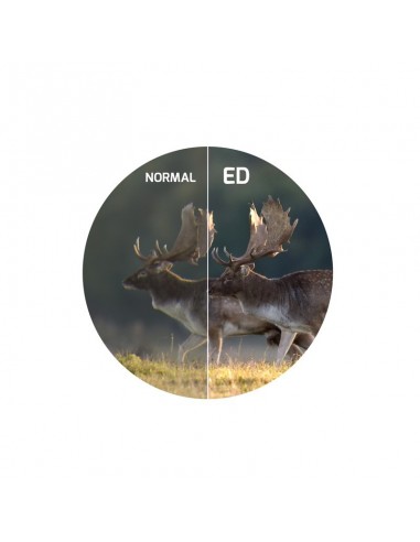 Binocolo lungo TITANIUM 65ED II -...
