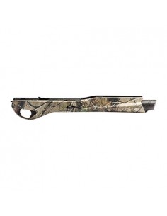 Asta/Paramani per Benelli... 2