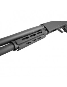 Asta/Paramani per Mossberg... 2