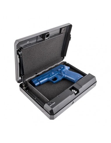 HD-100 Quick Vault - LIBERTY SAFE AND...
