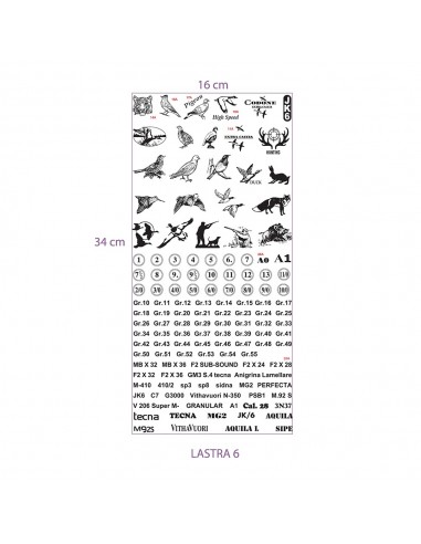 Lastra Per Timbrin. 6 - GAEP