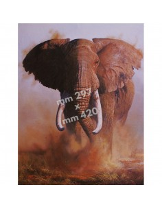 Stampa ELEFANTE - UDB