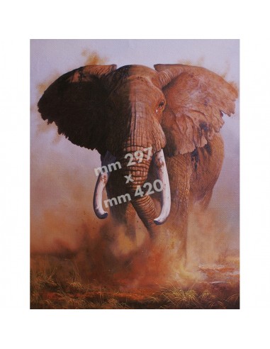 Stampa ELEFANTE - UDB