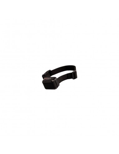 Trasmittente modelli - 202/2002 -...