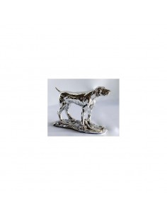 BRACCO POINTER - ROSSI &...