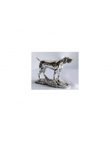 BRACCO POINTER - ROSSI & ARCANDI