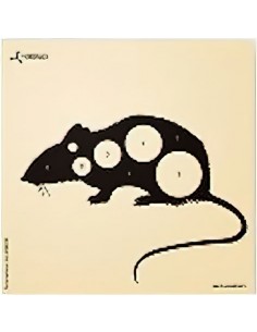 NR. 05 - Confezioni...