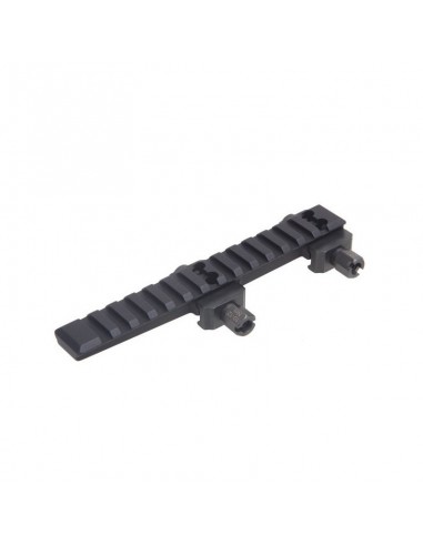 Picatinny riser on Eratac...