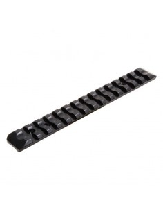Base Picatinny Weaver pour...