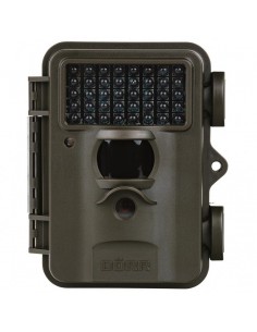 Trail Camera SnapShot...