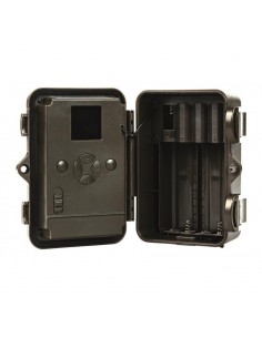 Trail Camera SnapShot... 2