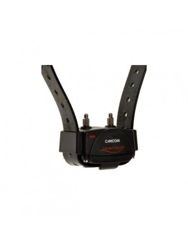 Additional collar Canicom Voice...