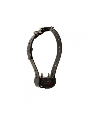 Additional collar Canicom Voice...
