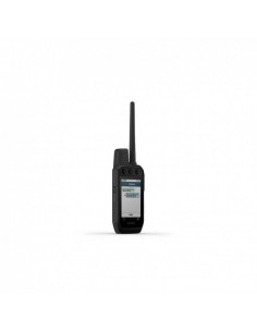 Alpha 200i / KT15X dog... 2