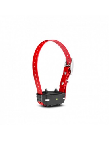 Additional PT10 training collar for...