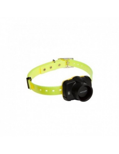 Beeper Canibeep 5 - NUM'AXES