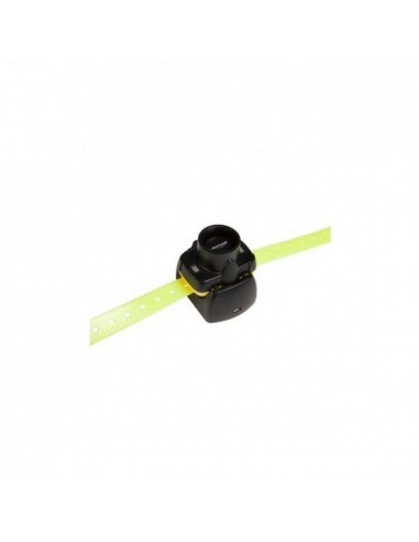 Beeper Canibeep 5 - NUM'AXES