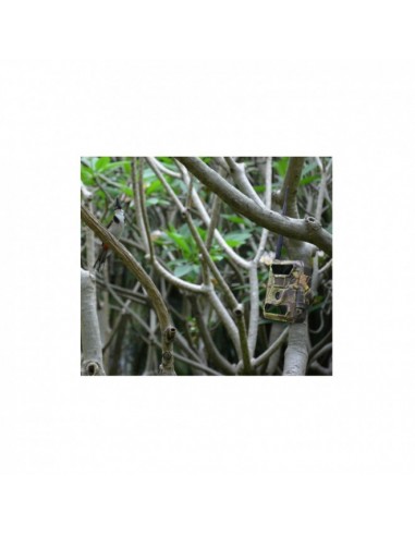 PIE1023 camera trap with MMS and 3G...