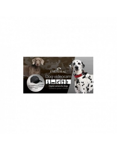 Caméra oculaire pour chiens - NUM'AXES