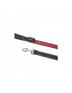 Eyenimal rechargeable leash... 2