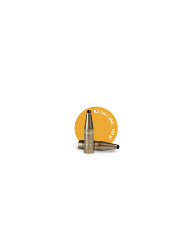 FOX BULLETS CLASSIC HUNTER CAL. 25...