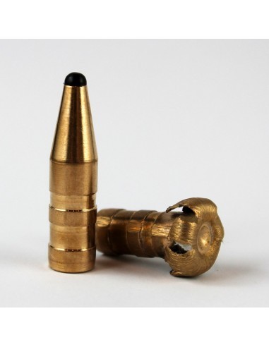 Balas de Caza en Calibre 9,3mm(.366)...