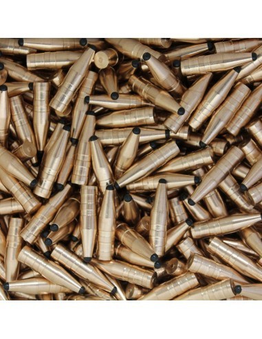 Balas de Caza en Calibre 9,3mm(.366)...
