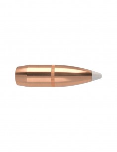 BULLETS 366" 250GR ACCUBOND...