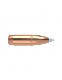 BULLETS 375" 300GR ACCUBOND...