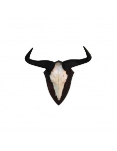 Trofeo di Blu Wildebeest...