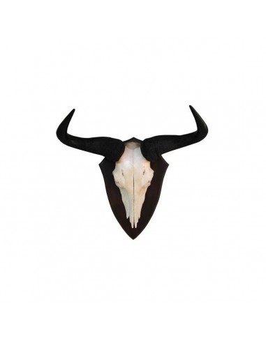 Trofeo di Blu Wildebeest Gnu 02 - UDB