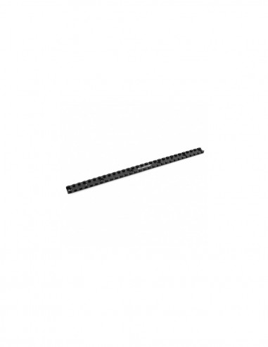Picatinny lunga - lunghezza 300mm,...