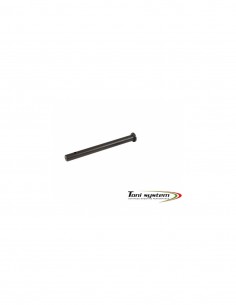 Steel guide rod for Glock...
