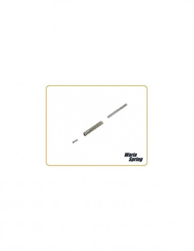 Competition spring set Franchi...