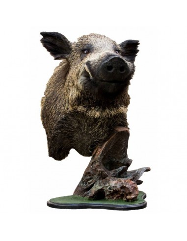 Trofeo di cinghiale tassidermizzato...