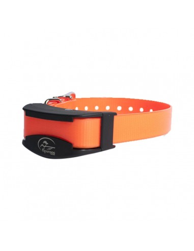 Additional Trainer 875 collar - SPORTDOG