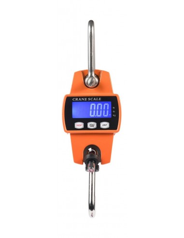 Bilancia Digitale 250 Kg - VERNEY-CARRON