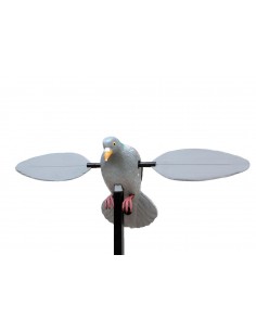Ailes rotatives du pigeon...