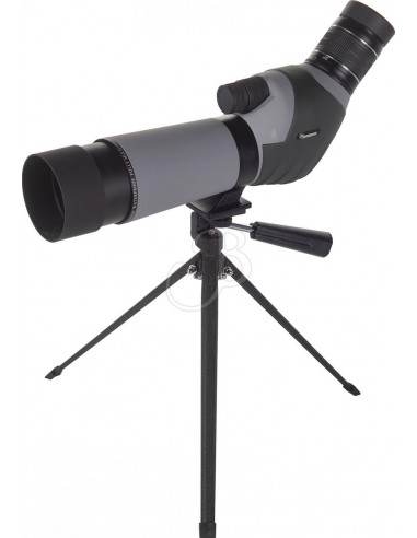 Telescopio 20-60x60 45° + Trípode -...