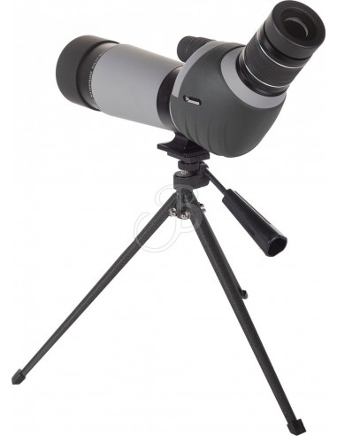 Télescope 20-60x60 45° + Trépied -...