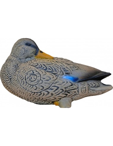 Sagoma 3d Anatra - 3DI
