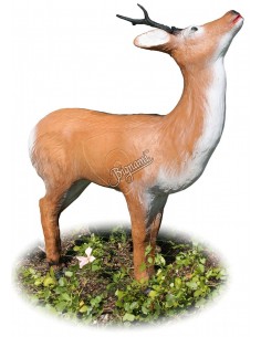 3d Silhouette Roe Deer...