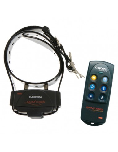 Canicom 200 Primera · 1 Collar - CANICOM
