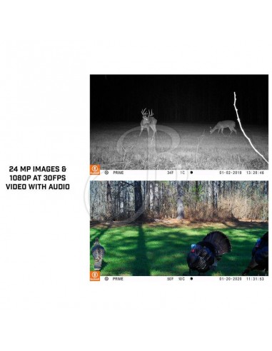 Fotorappola Trophy Cam Prime 24mp -...